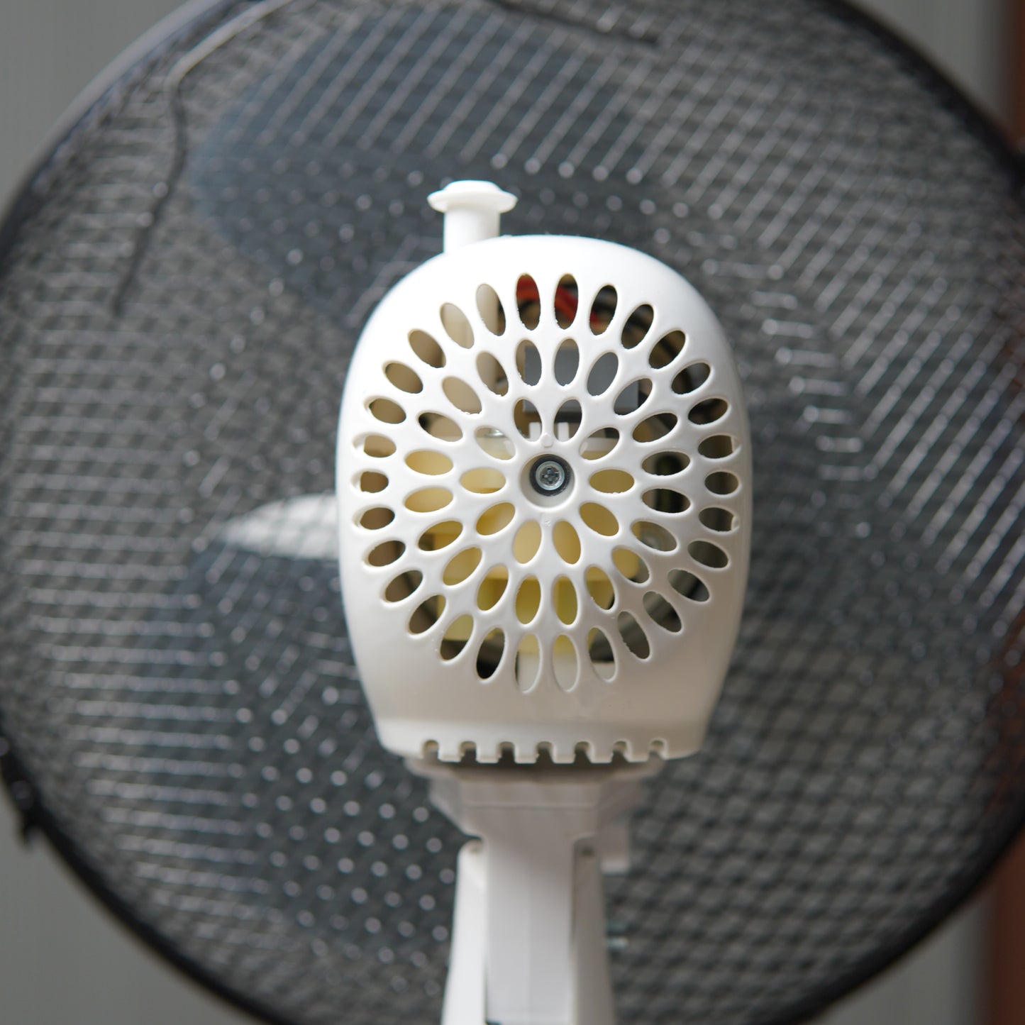 Amazon Basics 3-Speed Oscillating 12-inch Table Desk Fan