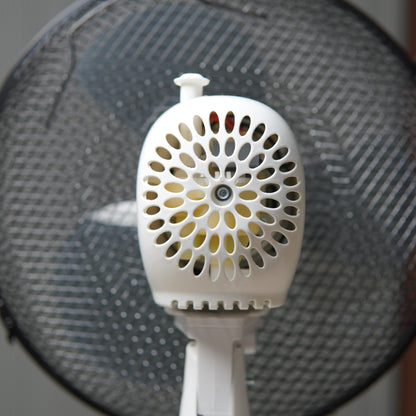 Amazon Basics 3-Speed Oscillating 12-inch Table Desk Fan